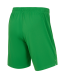 Шорты вратарские JOGEL PerFormDRY Spartak 25 GK Shorts, зеленый