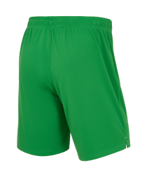 Шорты вратарские JOGEL PerFormDRY Spartak 25 GK Shorts, зеленый