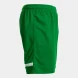 Игровые шорты JOMA TOKYO  