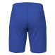 Шорты MASTER Синий Royal