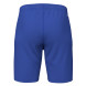 Шорты для тенниса JOMA MASTER Синий  