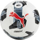 Мяч футб. PUMA Orbita 3 TB FQ, 08432401, р.5, FIFA Quality, 32 пан, ТПУ, термосшивка, бело-мультикол
