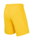 Шорты вратарские JOGEL PerFormDRY Spartak 25 GK Shorts, желтый, детский