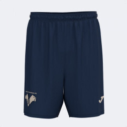 ШОРТЫ ДЛЯ ПРОГУЛОК HELLAS VERONA FC