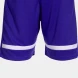 Игровые шорты JOMA TOKYO  