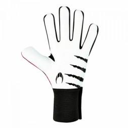 Перчатки вратарские HO SOCCER BEAST PLUS 