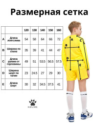 Детский комплект (лонгслив, шорты) KELME Long Sleeve Goalkeeper Suit Yellow