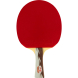 Ракетка для настольного тенниса DOUBLE FISH 5D-C в комплекте с чехлом