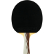 Ракетка для настольного тенниса DOUBLE FISH 5D-C в комплекте с чехлом