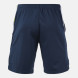 БЕРМУДЫ TERRA DARK NAVY LIMA