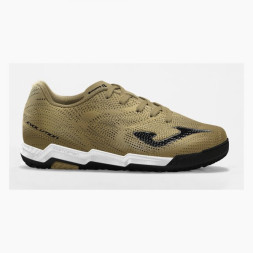 Ассортимент | EVOLUTION JR 2617 ORO INDOOR