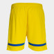 Игровые шорты JOMA TOKYO    