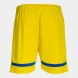 Игровые шорты JOMA TOKYO    