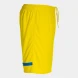 Игровые шорты JOMA TOKYO    