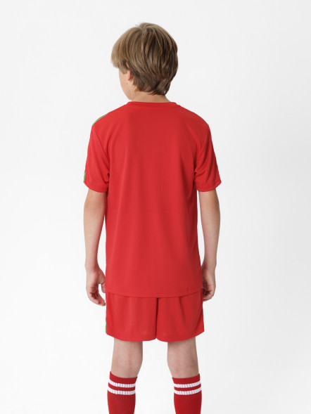 Детская футбольная форма FN Dignity Kid Red