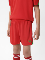 Детская футбольная форма FN Dignity Kid Red