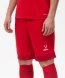 Шорты игровые JOGEL DIVISION PerFormDRY Union Shorts, красный/темно-красный/белый