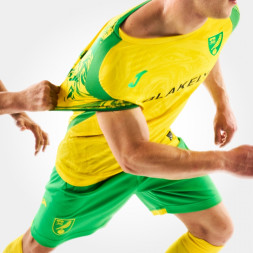 ФУТБОЛКА С КОРОТКИМ РУКАВОМ 1-Я NORWICH CITY