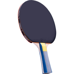 Ракетка для настольного тенниса TORRES Hobby TT0003