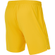 Шорты вратарские JOGEL PREMIER PerFormDRY GK Shorts Yellow, желтый