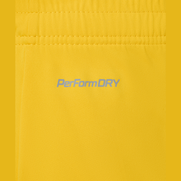 Шорты вратарские JOGEL PREMIER PerFormDRY GK Shorts Yellow, желтый