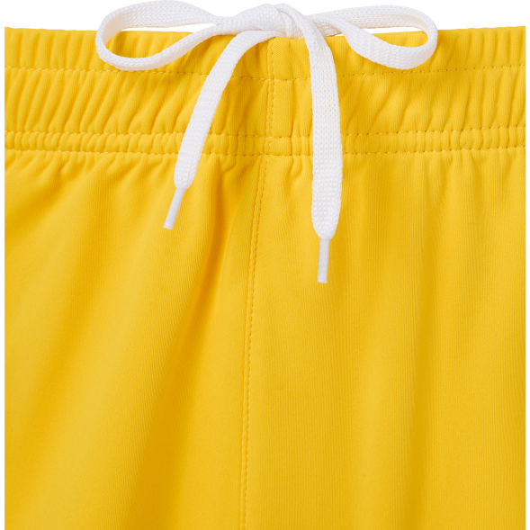 Шорты вратарские JOGEL PREMIER PerFormDRY GK Shorts Yellow, желтый