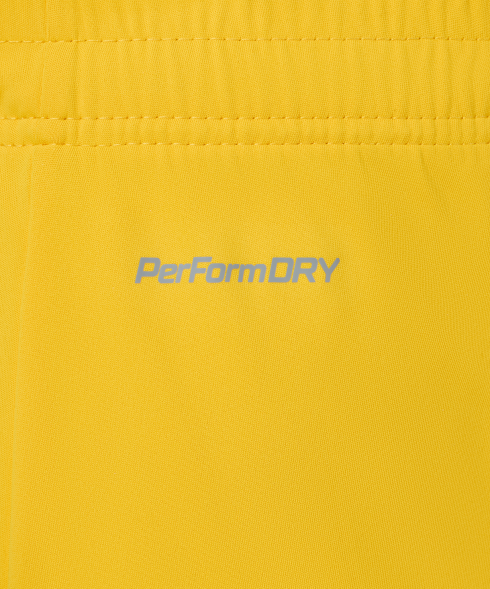 Шорты вратарские JOGEL PREMIER PerFormDRY GK Shorts Yellow, желтый