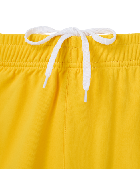 Шорты вратарские JOGEL PREMIER PerFormDRY GK Shorts Yellow, желтый