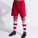 Игровые шорты JOMA EUROCOPA III  