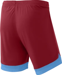Шорты игровые JOGEL DIVISION PerFormDRY Union Shorts, гранатовый/голубой/белый