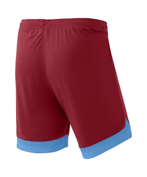 Шорты игровые JOGEL DIVISION PerFormDRY Union Shorts, гранатовый/голубой/белый