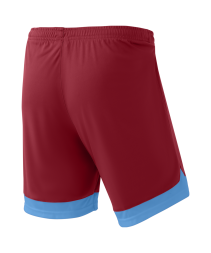 Шорты игровые JOGEL DIVISION PerFormDRY Union Shorts, гранатовый/голубой/белый
