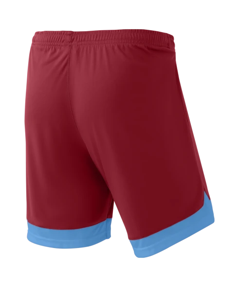 Шорты игровые JOGEL DIVISION PerFormDRY Union Shorts, гранатовый/голубой/белый