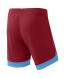 Шорты игровые JOGEL DIVISION PerFormDRY Union Shorts, гранатовый/голубой/белый