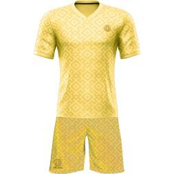 Футбольная форма ЭКИПО TROPHY Желтый цвет