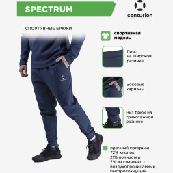 CENTURION Брюки SPECTRUM PN161M073 СвСк (04-S)