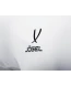 Шорты игровые JOGEL DIVISION PerFormDRY Union Shorts, белый/белый