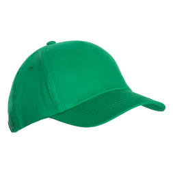 Бейсболка STAN 5 клиньев хлопок 260, 12