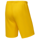 Шорты баскетбольные JÖGEL CAMP Basic, желтый