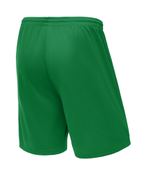 Шорты баскетбольные JOGEL CAMP Basic, зеленый