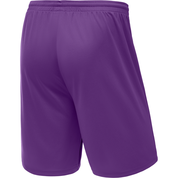 Шорты баскетбольные JÖGEL CAMP Basic, фиолетовый