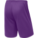 Шорты баскетбольные JÖGEL CAMP Basic, фиолетовый