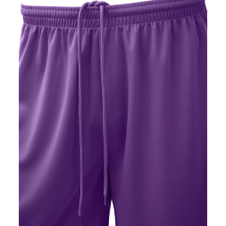 Шорты баскетбольные JÖGEL CAMP Basic, фиолетовый
