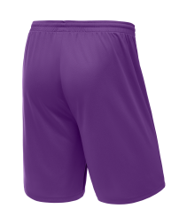 Шорты баскетбольные JOGEL CAMP Basic, фиолетовый