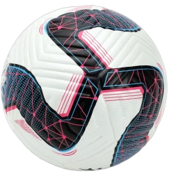 Футзальный мяч FN Futsal Ball (White/Blue)