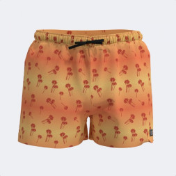 Ассортимент | BERMUDA DE BAÑO SANTA MÓNICA  