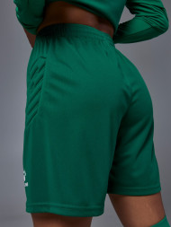Вратарская форма KELME Long Sleeve Goalkeeper Suit Green