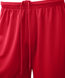 Шорты баскетбольные JOGEL CAMP Basic, красный