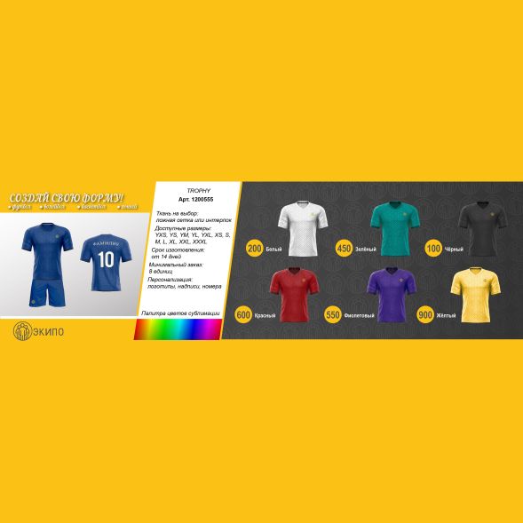 Футбольная форма ЭКИПО TROPHY Фиолетовый цвет