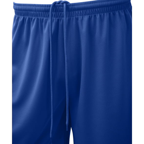 Шорты баскетбольные JÖGEL CAMP Basic, синий